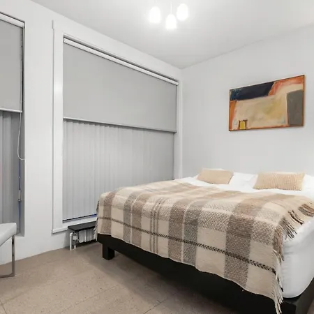 Luxury Apartment Central Reykjavík Eksteriør billede